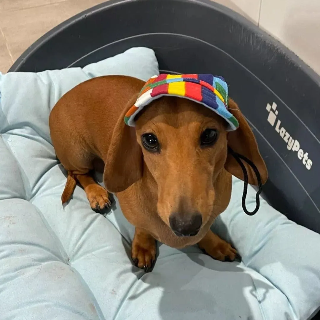 Graphic Baseball Dachshund Hat