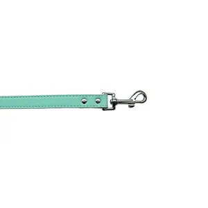 Plain Faux Leather Pet Leash in Aqua